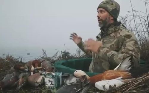 갓 잡은 오리 설명하는 트럼프 주니어. 오른쪽 하단이 보호종인 황오리