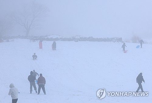 폭설 속 썰매 삼매경