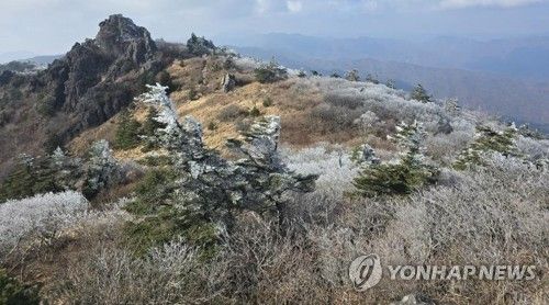 지리산 장터목 상고대