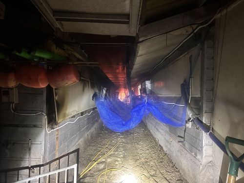 여주 돼지 농장서 불