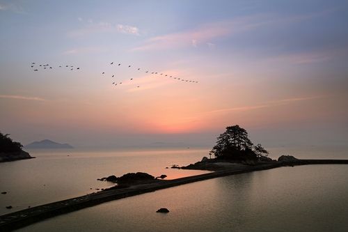 장흥 소등섬 일출[사진/임헌정 기자]