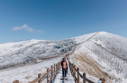 순백의 설경 연출한 소백산