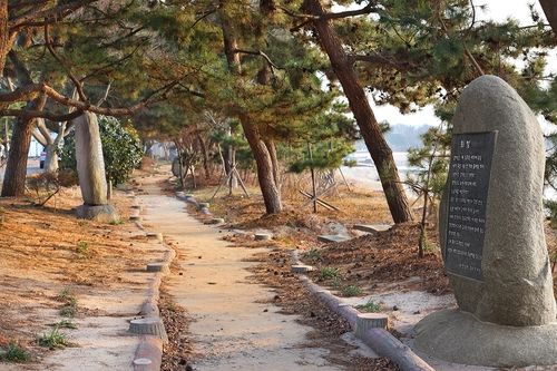 한승원 문학 산책길[사진/임헌정 기자]