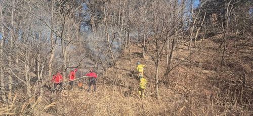 강원 고성군 거진읍 산불