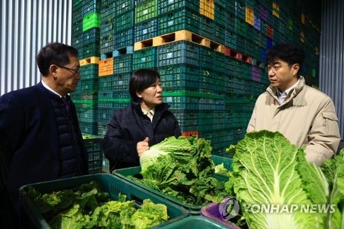 농식품부 장관, 배추 수급 점검