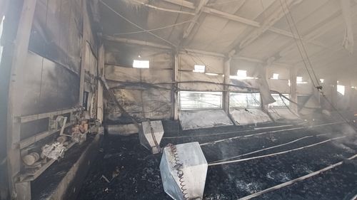 세종시 전동면 양계장 화재