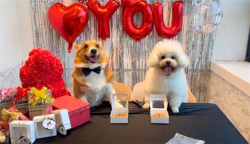 ['멍캐슬' 네이버블로그 캡처. 재판매 및 DB 금지]