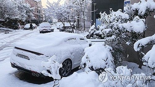 차량에 쌓인 눈