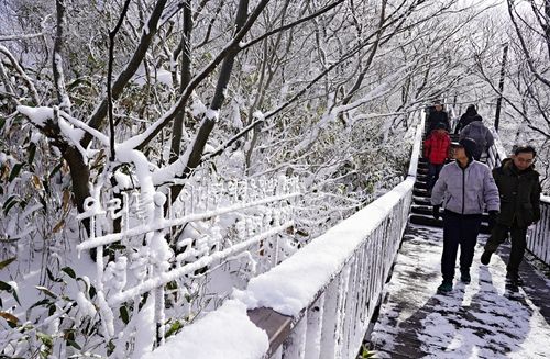 눈꽃 속 등산객