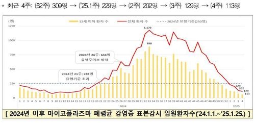 마이코플라스마 폐렴 유행주의보 해제…입원환자 4주째 기준미만 - 2