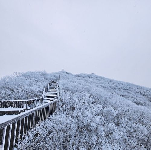 두륜산 설경 눈부시네