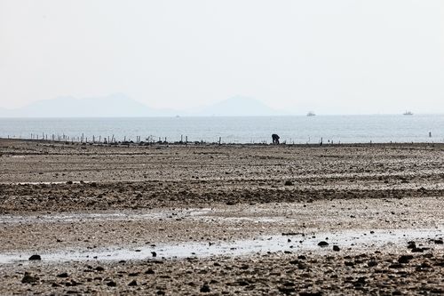 한승원 문학산책길 앞 여다지 해변 갯벌[사진/임헌정 기자]