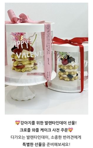 ['문해담펫푸드아카데미' 네이버블로그 캡처. 재판매 및 DB 금지]