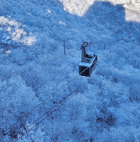 케이블카 타고 설경 감상