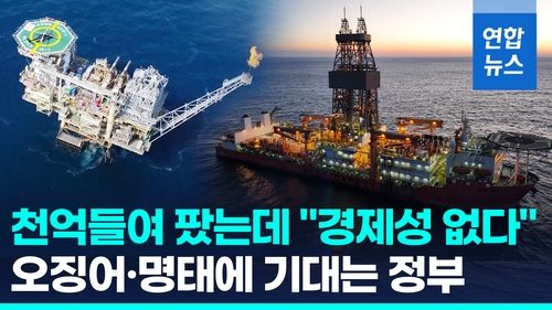 [영상] 1천억 쓴 대왕고래 "경제성 없다"…오징어·명태 시추 가능성은? - 2