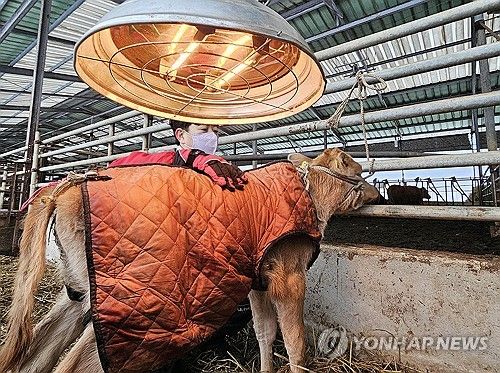 한파에 방한복 차려입은 소