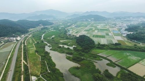 하늘에서 본 화포천습지 