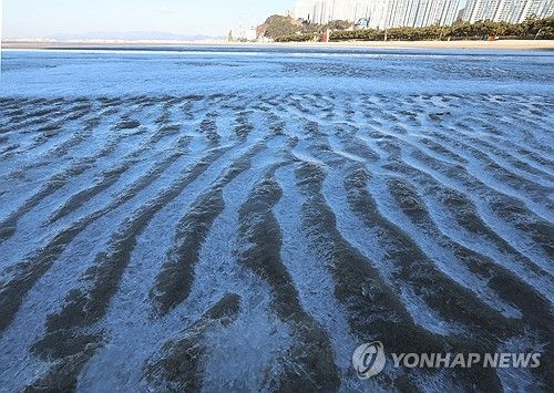 부산 다대포해수욕장 얼음