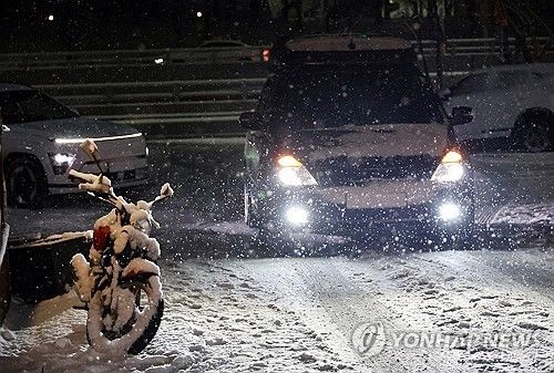 폭설에 거북이 주행
