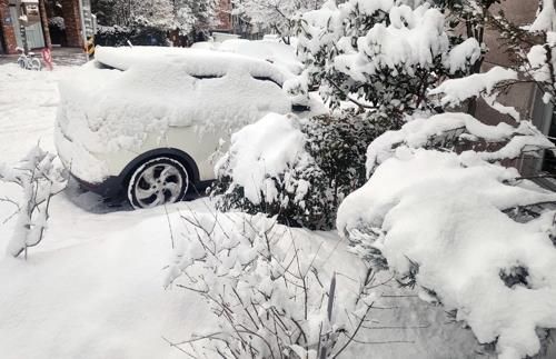 눈에 쌓인 자동차