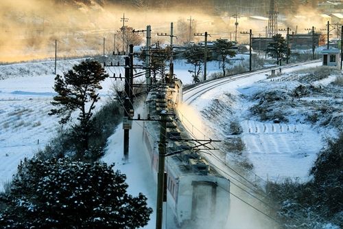 제천조차장역 주변 눈꽃열차의 질주