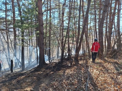 강릉 운산동에서 산불