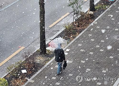 눈 내리는 전북 전주시