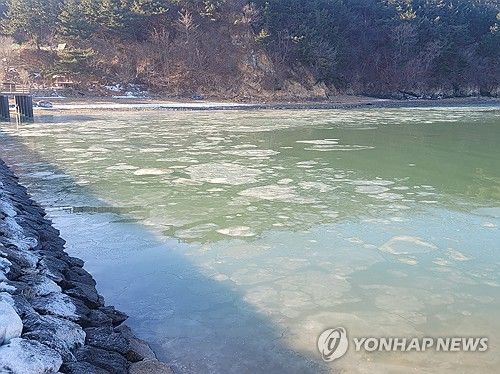 동장군 맹위에 서산 바다도 꽁꽁