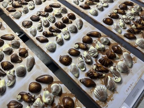 자동화 설비에서 제조 중인 길리안 초콜릿