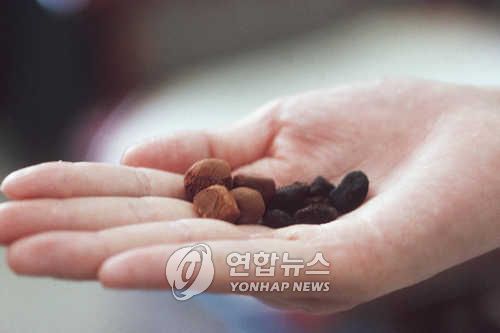 우황청심원(갈색우황,오른쪽시향)