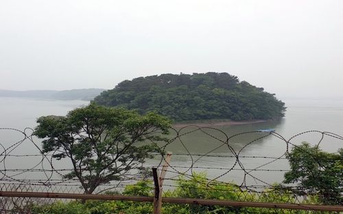 부래도