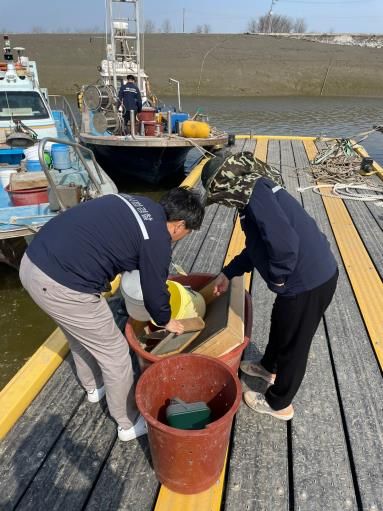 실뱀장어 불법 어업 단속