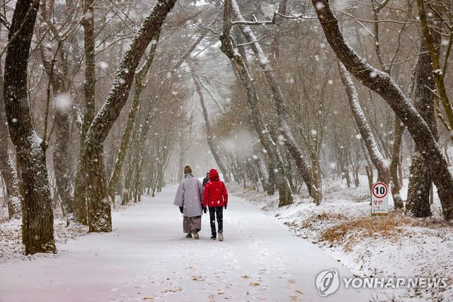 눈 내리는 고운사 천년숲길