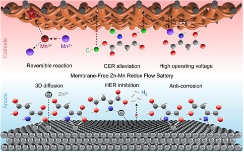 아연 망간 레독스 흐름 전지용 아미노산 첨가제 역할