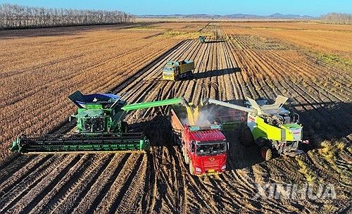 중국의 대두 경작지