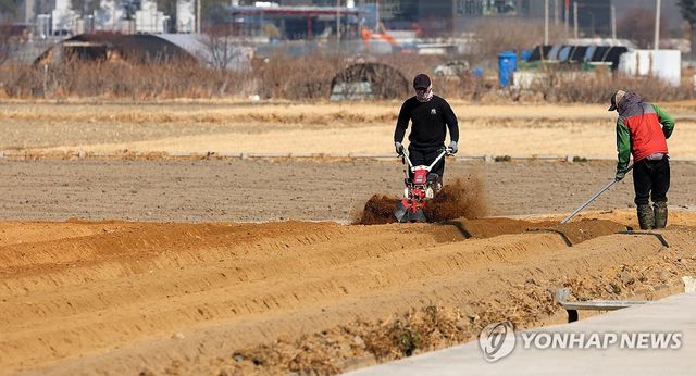 감자 농사 준비로 바쁜 들녘