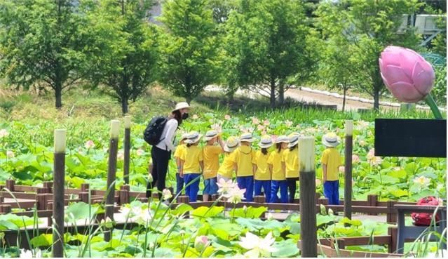 자연환경해설사 해설프로그램 운영(강릉 가시연습지)