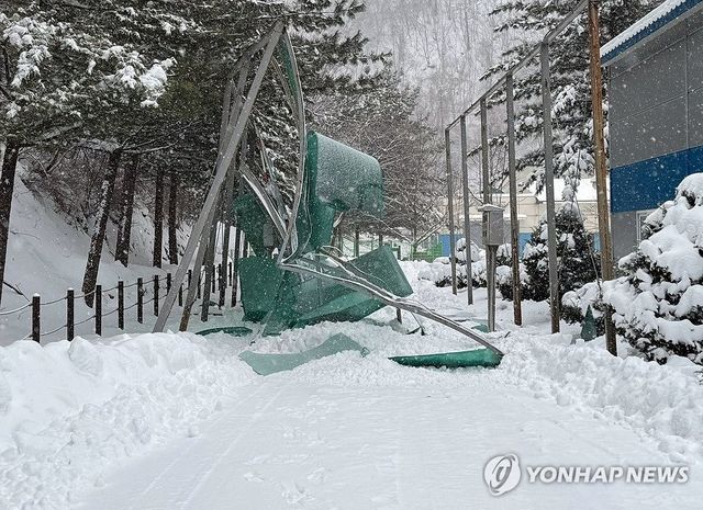 고원도시 태백 폭설피해