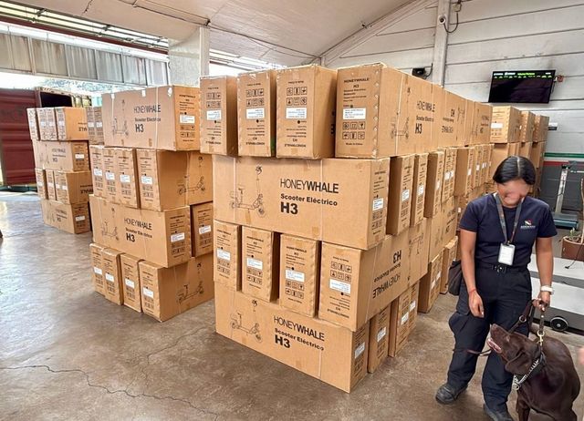 멕시코 관세청에 의해 적발된 중국산 밀수품