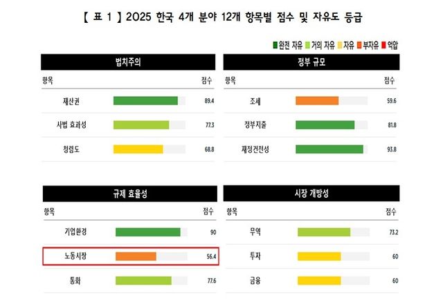 2025 한국 4개분야 12개 항목별 점수 및 자유도 등급