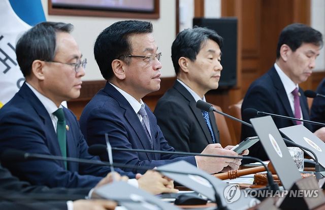 최상목 권한대행 국무회의 발언