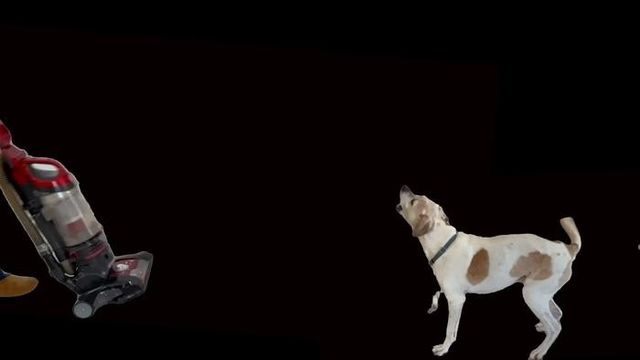 개의 감정에 대한 인간의 인식 방법 실험 장면 