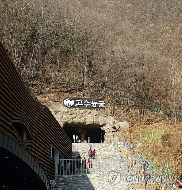 단양 고수동굴
