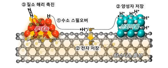 촉매 활성 증진 원리 모식도 
