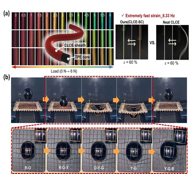 초고속 회복성, 초강력 메카노 변색 CLCE-TPE 섬유와 직물 활용 예시 그림들