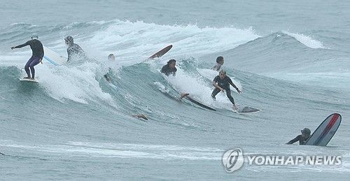 제주 바다서 서핑 즐기는 서퍼들 
