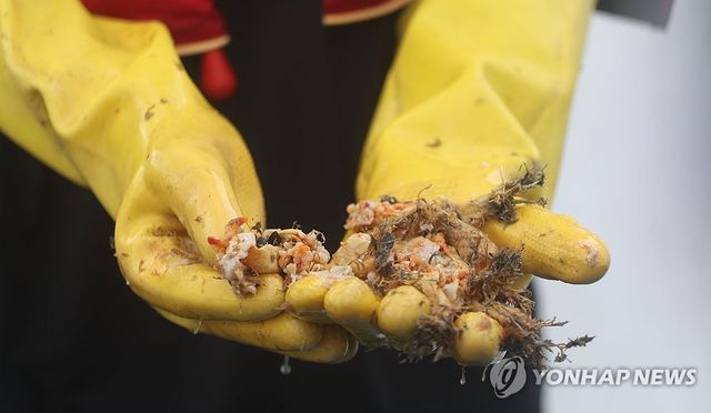 "고수온이 멍게를 삶았다"