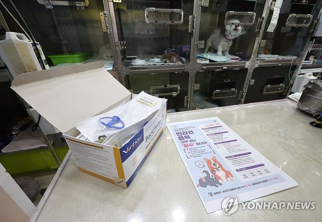 '반려견 등록, 선택 아닌 필수입니다'