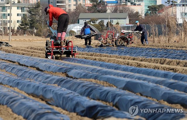 영농철 맞아 바쁜 농촌…강릉 송정동 들녘
