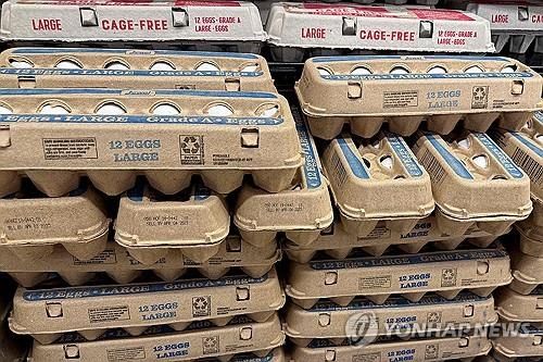 미 시카고시 식료품 매장의 계란 판매대